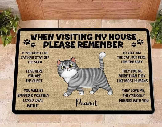 Please Remember When Visiting Cats House Personalized Doormat