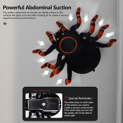 Wall Crawler Gecko - LED RC Toy for Indoor Family Fun & Prank Gifts