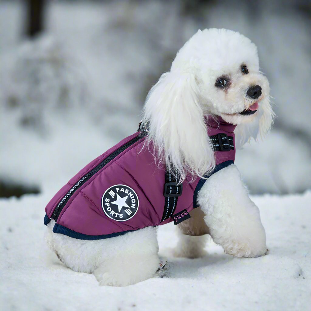 🔥2025 New Hot-Selling Winter Warm & Cozy Dog Jacket🔥