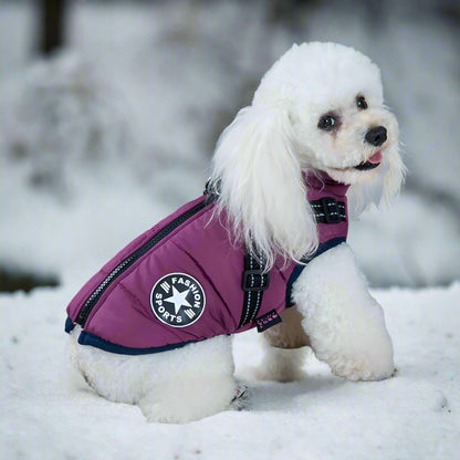 🔥2025 New Hot-Selling Winter Warm & Cozy Dog Jacket🔥