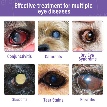 👩‍⚕️GFOUK® NanoCare Pet Eye Drops ☑️ FDA Approved | Relieves Conjunctivitis, Dry Eyes, Cataracts, and Keratitis🐶 🐈️