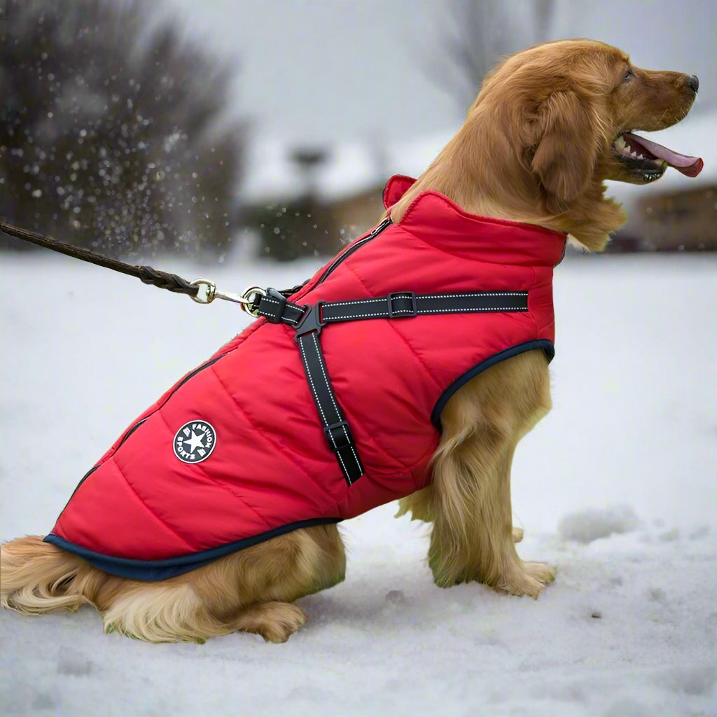 🔥2025 New Hot-Selling Winter Warm & Cozy Dog Jacket🔥