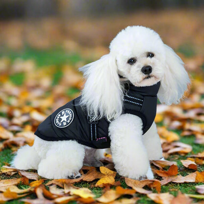 🔥2025 New Hot-Selling Winter Warm & Cozy Dog Jacket🔥