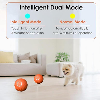 ✨Last Day Promotio🎁Dog Toy Ball 💥