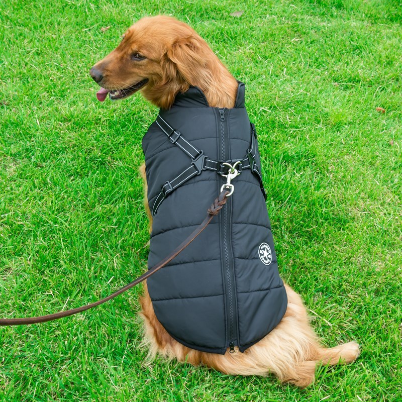 🔥2025 New Hot-Selling Winter Warm & Cozy Dog Jacket🔥