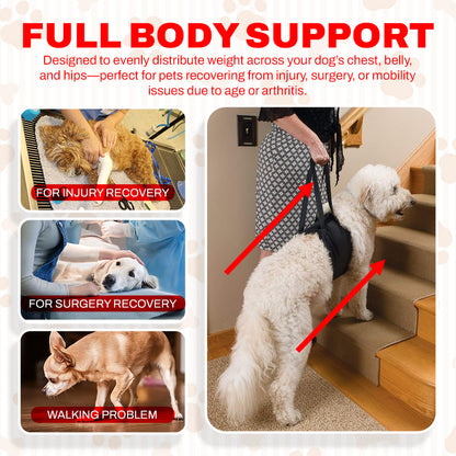 Dog Lift Harness for Full Body & Hind Leg Support