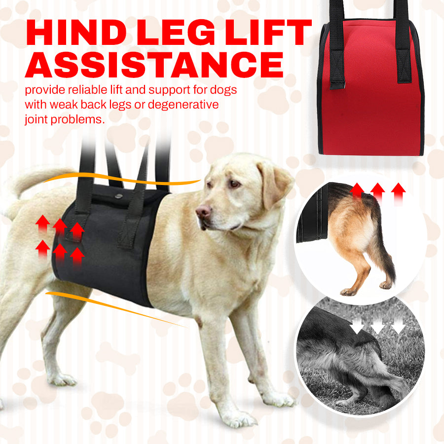 Dog Lift Harness for Full Body & Hind Leg Support