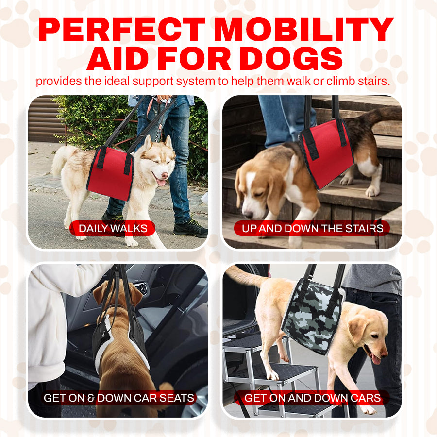 Dog Lift Harness for Full Body & Hind Leg Support