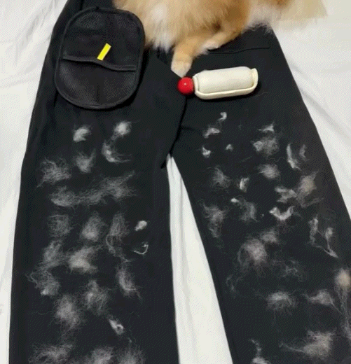 Buy 1 Get 1 Free🔥 Electrostatic Pet Hair Removal Grooming Gloves