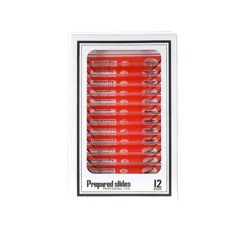 Microscope Matching - Animal and Plant Specimens