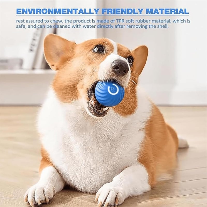 ✨Last Day Promotio🎁Dog Toy Ball 💥