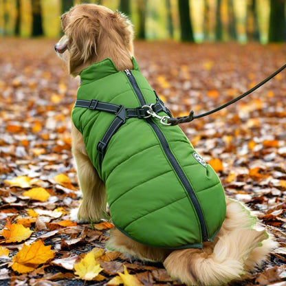 🔥2025 New Hot-Selling Winter Warm & Cozy Dog Jacket🔥