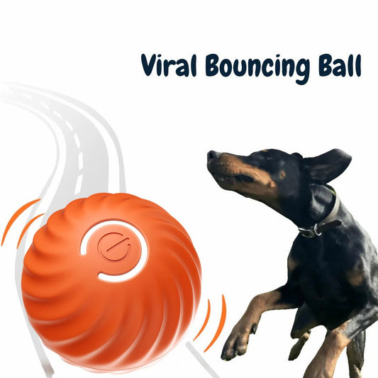 🎄Christmas Flash Sale-50% OFF-Chewie Viral Bouncing Ball